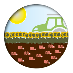 gli allevamenti azienda agricola lombrico rosso